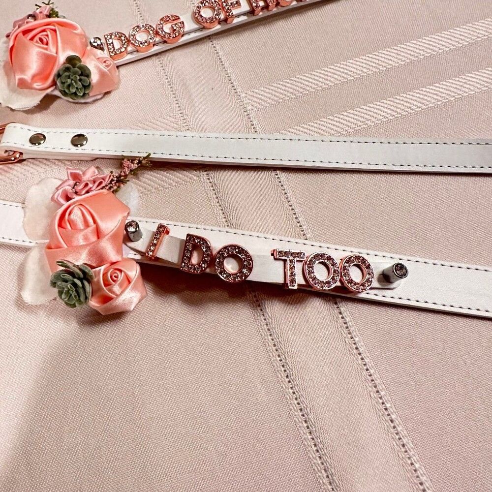 Dog, Animal Collar and Leash for Wedding
